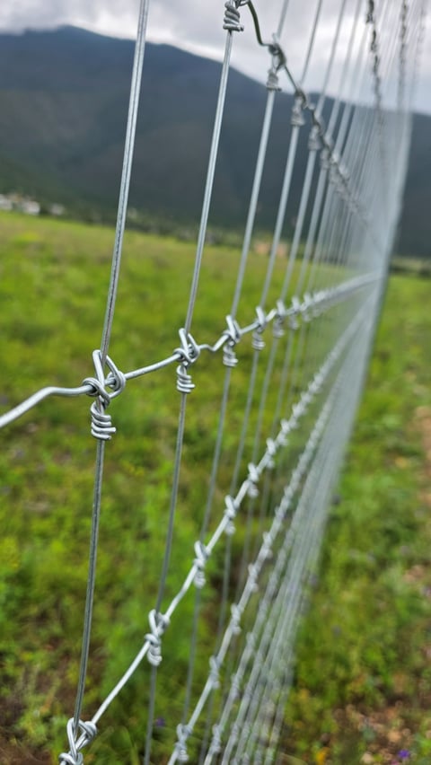 Close-up of metal wire fence with white clips and ties along green pasture and mountain backdrop